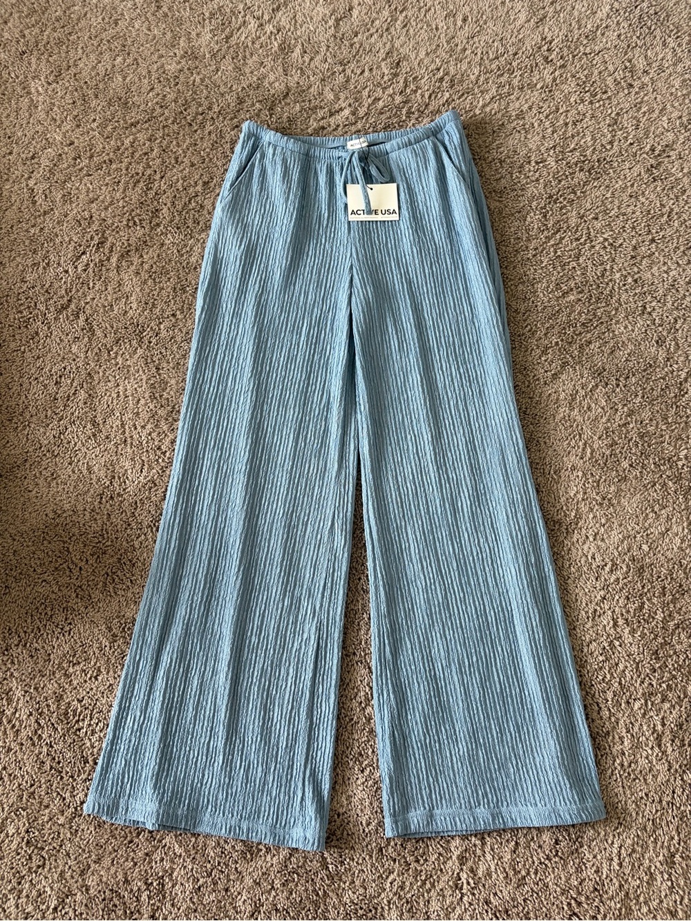 Active USA Sky Blue Pleated Wide-Leg Pants